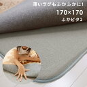 ラグ 下敷き専用 ふかピタ 170×170 cm 