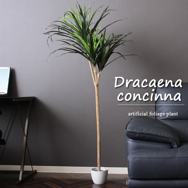 観葉植物 フェイク フェイクグリーン『 ドラセナ コンシンネ 』【FBC】(#9837276-52692)造花 インテリア【メーカー直送のためキャンセル・返品不可】のサムネイル