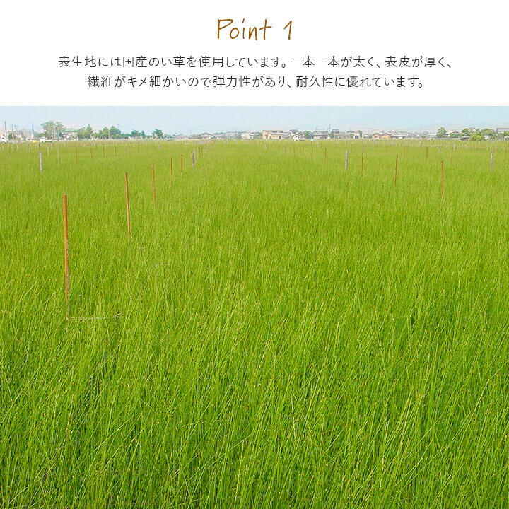 置き畳 畳 日本製 撥水 い草 ユニット畳 ペット フローリング畳 「 ライズ 」 約88×176cm 1枚 単品 国産い草 木製ボード システム畳 たたみ 長方形 1畳 ジョイントマット 和室 すべり止め はっ水 イケヒコ