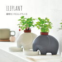 【5/1限定★最大11%offクーポン】 ギフト 栽培セット 陶器 エレプラント 聖新陶芸 栽培キット 室内 ハーブ アップルミント ワイルドストロベリー おし...