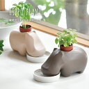 【5/1限定★最大11%offクーポン】 ギフト 栽培セット 陶器 ヒポポプラント 聖新陶芸 栽培キット 室内 ハーブ アップルミント バジル おしゃれ 母の日...