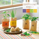 【5/1限定★最大11%offクーポン】 栽培キット 野菜 TSUTSUMI しそ 唐辛子 三つ葉 小ねぎ 米袋 ミニ プレゼント ギフト 栽培セット 日本製 ...