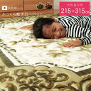 【全品ポイント5倍★7/30限定】 ラグ 厚手 40mm厚敷布団 ふっくら敷き 長方形 「 シャルマン 」 215×315cm ブラウン グリーン 極厚ラグ ラ...