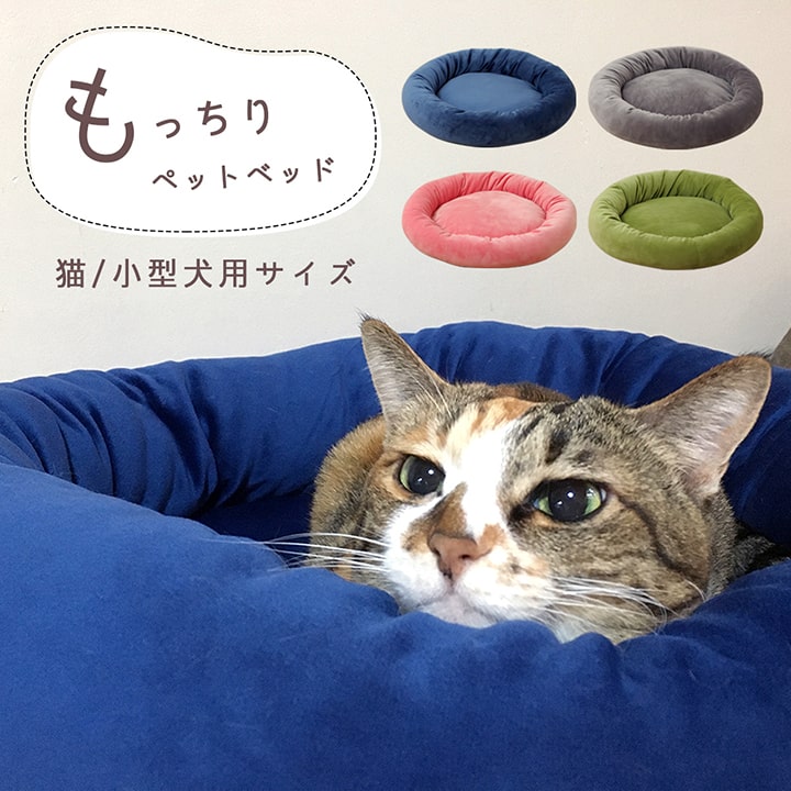 ★P2倍！10日0:00〜11日9:59★ 猫 ベッド ペットベッド 冬 短毛マイクロファイバー 猫 猫用 犬 犬用 小型犬 「 短毛マイクロもっちり ペットベッド 」 円形 55×55×10cm 洗える 無地 シンプル かわいい 可愛い ふっくら ふわふわ フワフワ