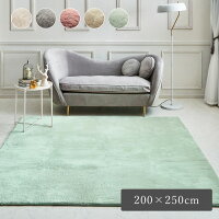 ラグマット おしゃれ 北欧 3畳 ホットカーペット カバー エコファー フェイクファー 「 ラピアス 」 約200×250cm 約3畳 ラグ 長方形 洗える 抗菌防臭 カーペット こたつ 敷布団 滑り止め付き 韓国 海外 インテリア 可愛い