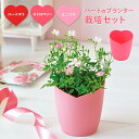 【5/1限定★最大11%offクーポン】 母の日 プレゼント 実用的 ギフト 栽培キット 栽培セット 日本製 野菜 やさい 花 土セット 家庭菜園 ガーデニング...