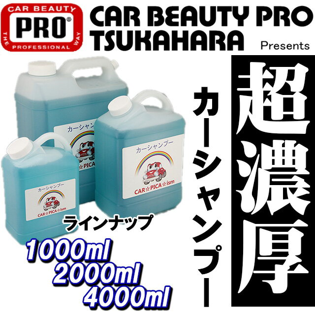 カーピカネットGモードファインセット洗車セット コーティングセット 洗車キット カーピカネットGモードファインセット洗車セット コーティングセット 洗車キット