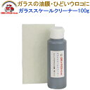 ガラススケールクリーナー100g 【業務用、ウインドウ、ガラス、油膜除去クリーナー、ウロコ除去、スケール汚れ、雨ジミ除去、雨ジミクリーナー、プロ仕様、簡単施工、洗車用品、カーケア用品】