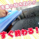 carpika:10000009のサンプル画像2