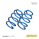 Espelir エスペリア Downsus リア RX300 AGL20W 品番:ESX-5540R