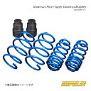 Espelir エスペリア Downsus Plus+スーパーダウンサスラバー(フロントのみ) 1台分セット GS300h AWL10 品番:ESX-4655+...