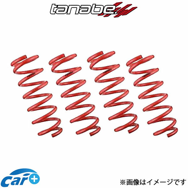 TANABE タナベ リフトアップスプリング DEVIDE UP210 1台分 N