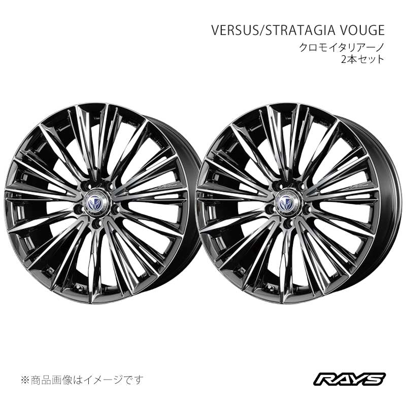 RAYS レイズ ベルサス ストラテジーア ヴォウジェ アルミホイール2本セット【20×8.5J 5-120 INSET45 RB】11950854521RB×2