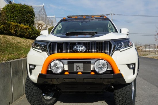 �����ɥϥ��� ���ǥ��� �ե����С��ץ��ƥ������ ������� ���ɥ��롼�����ץ�� KADDIS ���ǥ��� KD-EX04018