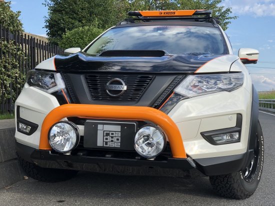 �����ɥϥ��� ���ǥ��� �ե����С��ץ��ƥ������ �������ȥ쥤�� 32�� KADDIS ���ǥ��� KD-EX08013