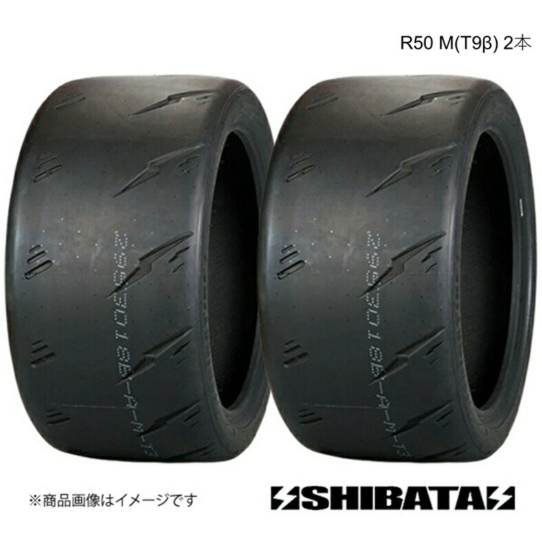 GOOD YEAR - SHIBATIRE シバタイヤ R50 195/50R15 M(T9β) タイヤ単品 2本セット R1772×2