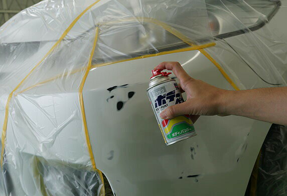 SOFT99/���ե�99 �ܥǡ��ڥ� �ۥ磻�ȥץ饵�� 08030 JAN:4975759080305