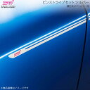 STI エスティーアイ ピンストライプセット シルバー 濃色系ボディカラー用 インプレッサ GP 5ドア アプライド:A/B/C/D/E ST91042ST020(2)