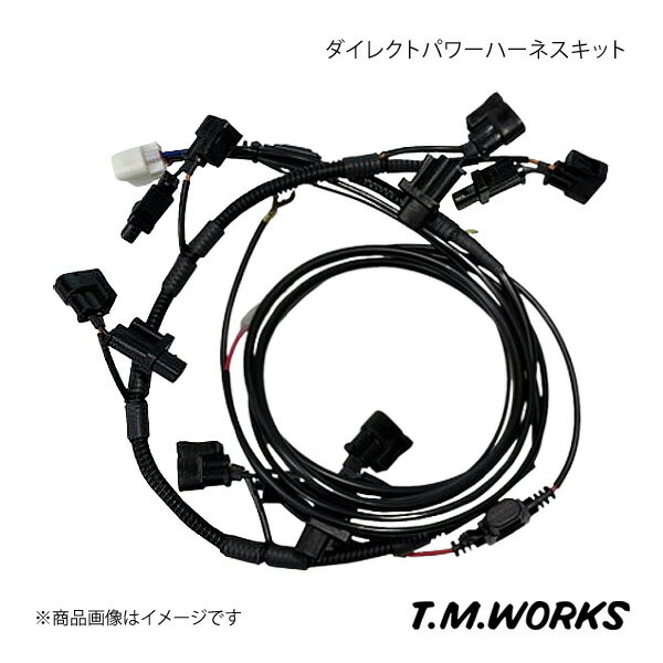 T.M.WORKS ティーエムワークス ダイレクトパワーハーネスキット ソアラ JZZ30 91'5〜96'8 品番:DP1107