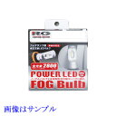 Racing Gear RGH-P543: [VOMA tHOvpLEDou RpNgX^[ 2800K(ou^: H8/H11/H16) [:iE͓s]