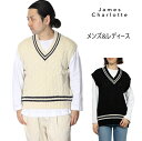 ジェームスシャルロット JAMES CHARLOTTE ニット ベスト レディース メンズ チルデンニット セーター ユニセックス Vest クリケットセーター...