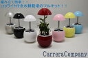 水耕栽培 セット LEDライト付き 人気 栽培 野菜 果物 ...