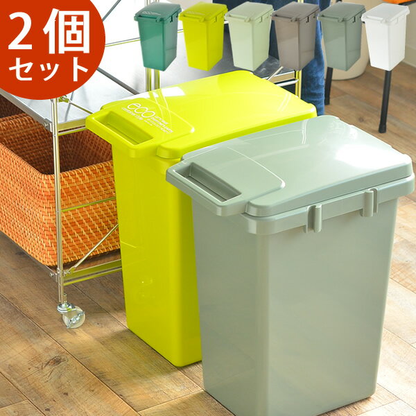 ゴミ箱【2個セット】 ecoコンテナスタイル 45L 分別 おしゃれ 45リットル キッチン ごみ箱 フタ付き ふた付き スリム 屋外 ダストボックス 大容量 ふたつき 蓋つきゴミ箱 分別ごみ箱 ゴミ 大型 トラッシュボックス 外用 キッチンごみ箱 省スペース 外用ゴミ箱 北欧