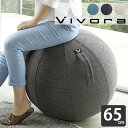 vivora バランスボール シーティングボール ルーノ シェニール 65cm カバー付き 二重構造 sitting ball chairs LUNO Chenille 破裂防止 ポンプ付 体幹 トレーニング ヨガ 筋トレ 宅トレ 室内 運動器具 姿勢 骨盤 矯正 椅子 座椅子 ながら フィットネス エクササイズ