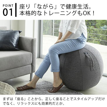 vivora バランスボール シーティングボール ルーノ シェニール 65cm カバー付き 二重構造 sitting ball chairs LUNO Chenille 破裂防止 ポンプ付 体幹 トレーニング ヨガ 筋トレ 宅トレ 室内 運動器具 姿勢 骨盤 矯正 椅子 座椅子 ながら フィットネス エクササイズ