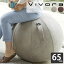 vivora Х󥹥ܡ ƥ󥰥ܡ 롼 쥶å 65cm Сդ Ź¤ sitting ball chairs LUNO Leatherrette ɻ ݥ δ ȥ졼˥ 襬 ڥȥ ȥ  ư    ػ °ػ ե եåȥͥ 