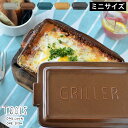 ツールズ グリラー ミニ TOOLS GRILLER MINI 耐熱 陶器 日本製 電子レンジ 魚焼きグリル ガスレンジ 可 直火調理 ダッチオーブン グリルパン レシピ付き 遠赤外線 ロースター グリル 一人用 おうち時間 プレート イブキクラフト