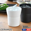 タンブラー 300ml 真空断熱 CTB-300 陶器調 保温 保冷 セラマグ セラミック加工 ホワイト ブラック ステンレス 二重構造 おしゃれ 焼酎 ギフト プレゼント シンプル 魔法瓶 セラブリッド 京セラ KYOCERA