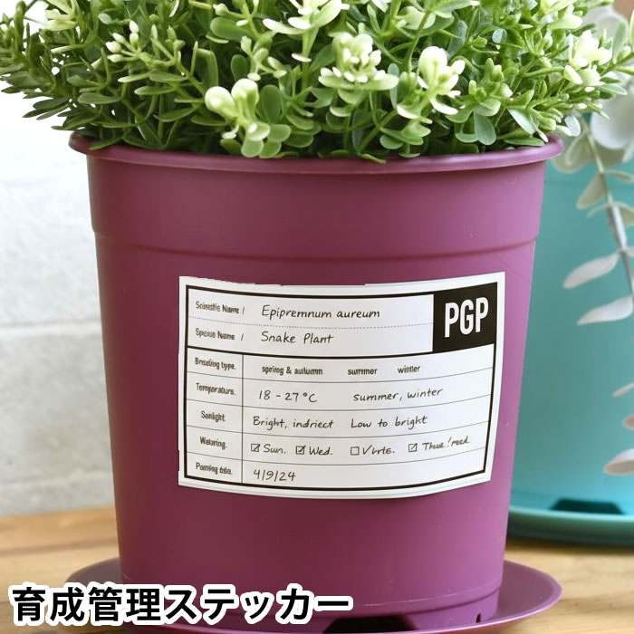 ガーデニング ステッカー PLANTS GROWING POTS 育成管理ステッカー シンプル おしゃれ 植物 タグ プランター ステッカー 園芸ラベル ガーデン雑貨 シールラベル ガーデン雑貨 鉢植え 観葉植物 園芸ステッカー プランター シール
