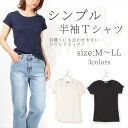 シンプル 半袖 コットン Tシャツ レディース トップス ベーシックT 送料無料 3サイズ セール 大人気