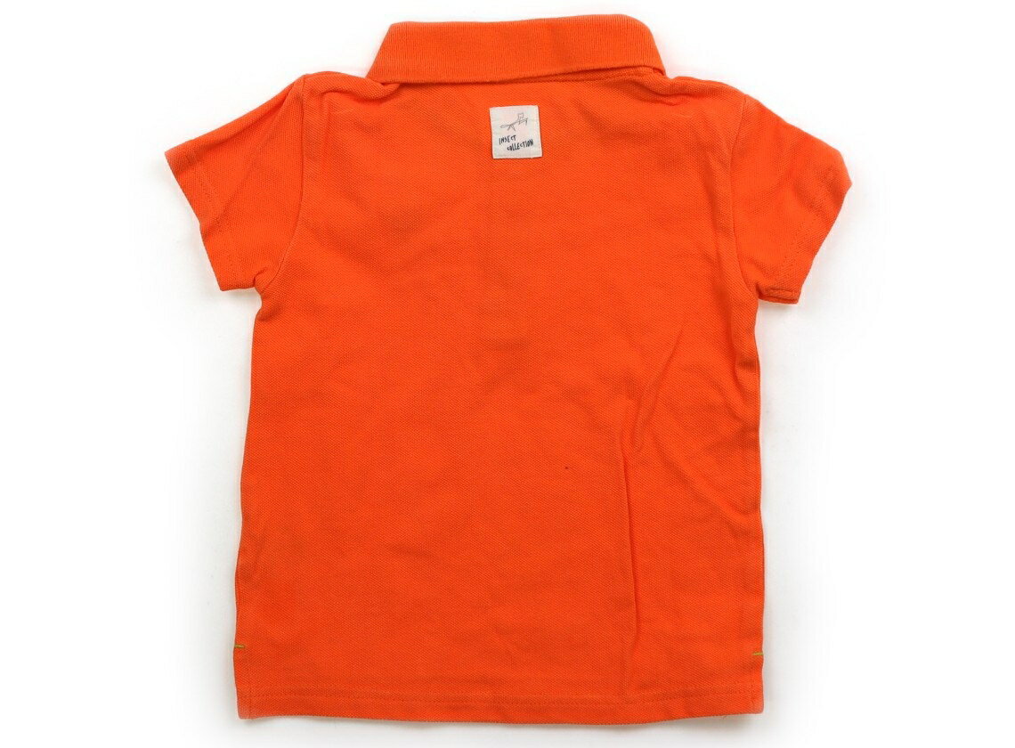 ���󥻥��ȥ��쥯����� Insect Collection �ݥ������ 100 �ˤλ� ����� �Ҷ��� �٥ӡ��� ���å� �����ȥ�å� �桼���� ����šۥ��å����٥ӡ����ޥ��˥ƥ�