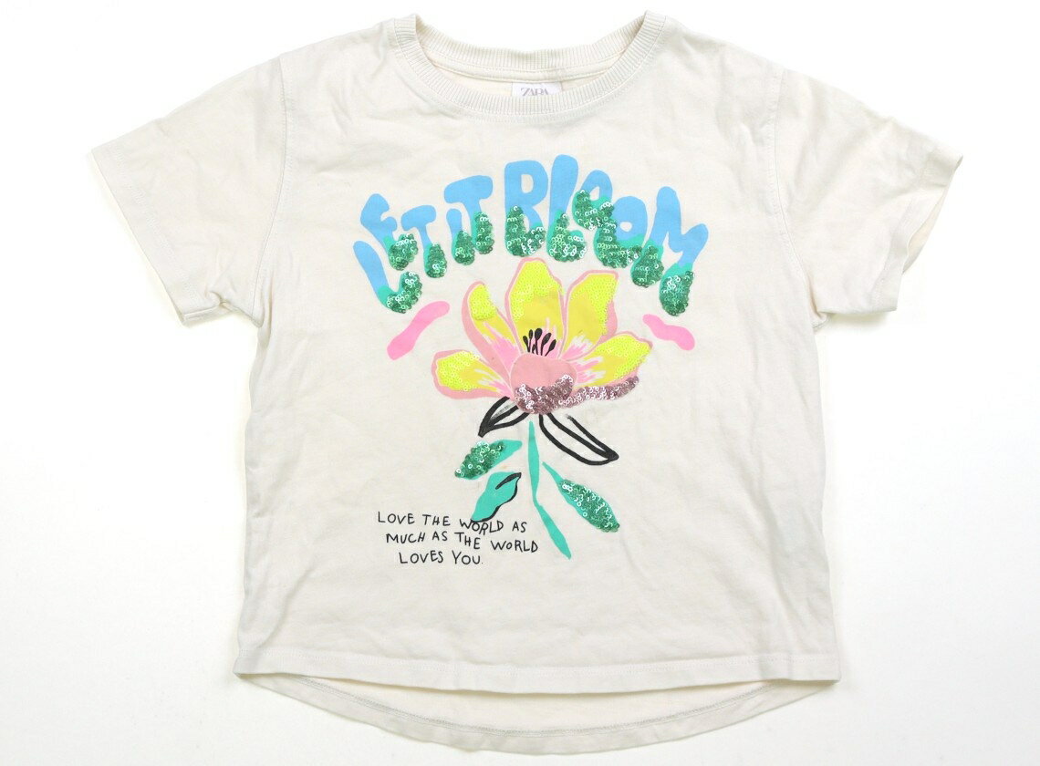 　ブランド 　ZARA(ザラ) 　カテゴリー 　Tシャツ・カットソー 　サイズ 　130サイズ 　色 　オフホワイト 　状態 　★★（返品不可） 　記名 　なし 　ジャンル 　Girl 短めの丈感です。薄いシミや汚れが複数ヶ所に見られ、特に後ろ身頃裾に目立ちます。ヨレ感あり。使用感が見られます ＊【状態】【サイズ】に関しての詳しい説明はこちら