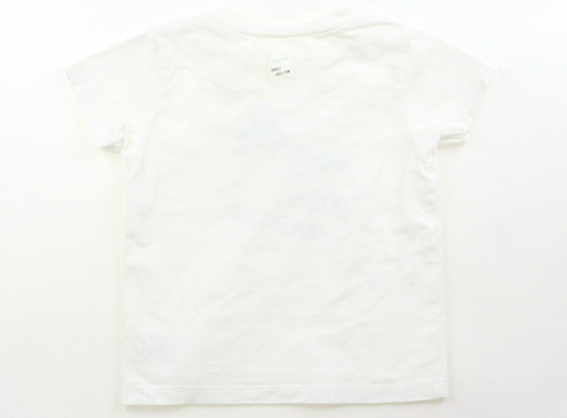 インセクトコレクション Insect Collection Tシャツ・カットソー 100 男の子 白、カマキリ 子供服 ベビー服 キッズ アウトレット ユーズド 【中古】キッズ・ベビー・マタニティ