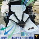 ベビーカーシート 夏用 通気性 3D メッシュ 蒸れない 涼感 クールシート 新生児 替えシート付 暑さ対策 冷感 マット 保冷剤 熱中症対策 コットン ひんや...