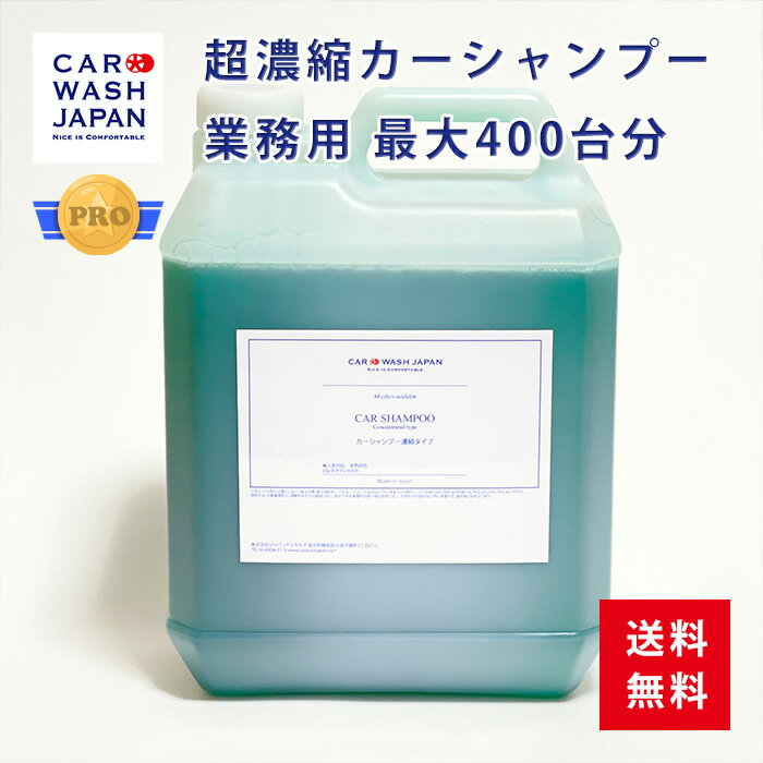 【ポイント10倍！16日2時まで】 送料無料 カーシャンプー濃縮タイプ 4L 業務用 大容量 カーシャンプー 洗車セット 手洗い セット 洗車用シャンプー 洗車用品 手洗い洗車セット 洗車道具 新車 車 購入 贈り物ギフト プレゼント 新車 祝い お誕生日 お祝い