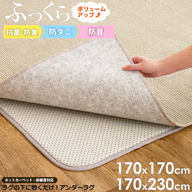 Rakuten - [ アンダーラグ 防音 防ダニ 抗菌 防臭 170×170cm/170×230cm ]下敷き ラグ カーペット カバー 2畳 3畳 長さ 170cm 厚手 ふかふか 滑り止め オールシーズン 子ども 赤ちゃん プレイマット 子供部屋 グレー casa