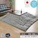 \最大10%OFFクーポン★/ こたつ掛け布団 長方形 東レ マッシュロン 200×300cm こたつ布団 マイクロファイバー コタツ布団 洗える 大判 炬燵布...