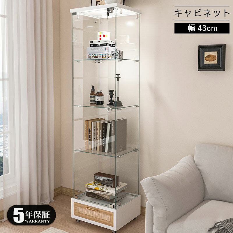 楽天市場】収納棚（カラー透明）（キャビネット・コンソール｜収納家具