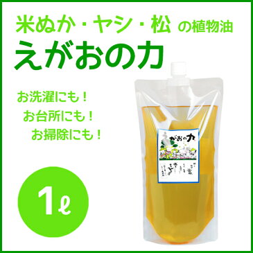 植物油由来成分からできた濃縮自然派洗剤「えがおの力 ギフトセット」