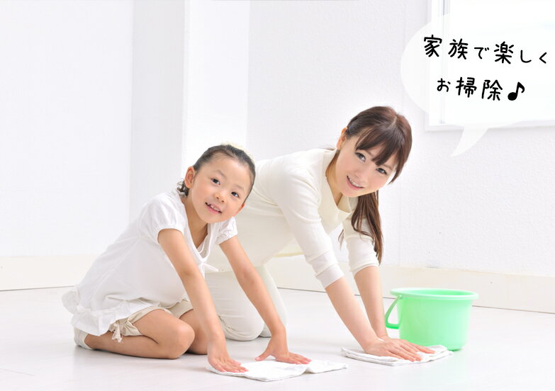 植物油由来成分からできた濃縮自然派洗剤「えがおの力(旧松の力)」2L