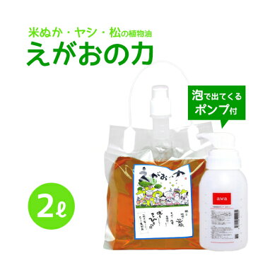 植物油由来成分からできたボタニカル多用途洗剤「えがおの力（旧松の力）」2L濃縮/ エコロジー泡ボトル350mlセット