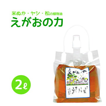 植物油由来成分からできた濃縮自然派洗剤「えがおの力（旧松の力）」2L