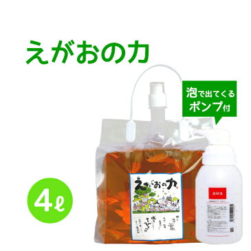 植物油由来成分からできたボタニカル多用途洗剤「えがおの力（旧松の力）」4L濃縮/ エコロジー泡ボトル350mlセット