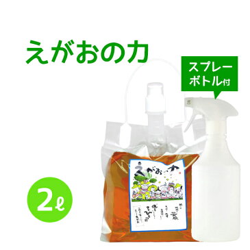 植物油由来成分からできたボタニカル多用途洗剤「えがおの力（旧松の力）」2L濃縮/ 半透明スプレーボトル500mlセット