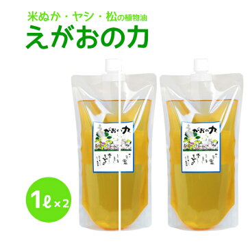 植物油由来成分からできた濃縮自然派洗剤「えがおの力（旧松の力）」1L　2個セット