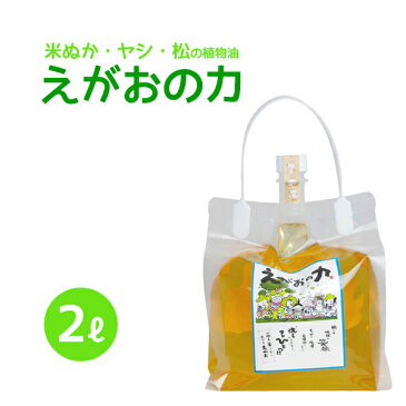 「えがおの力(旧松の力)」2L 植物油由来成分からできた濃縮自然派洗剤